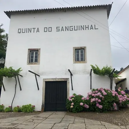 Terra Luso Bed & Breakfast 3*