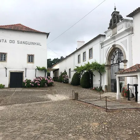 Terra Luso Bed & Breakfast Cadaval