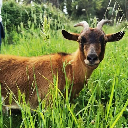 Terra Luso 3* Cadaval