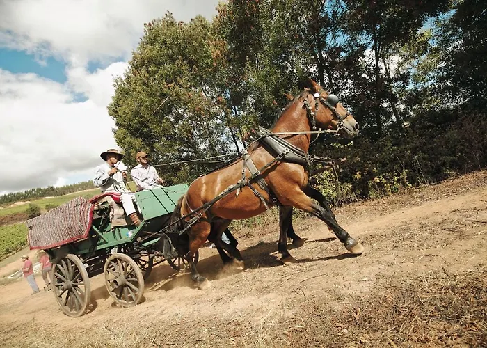 Terra Luso Bed & Breakfast Cadaval