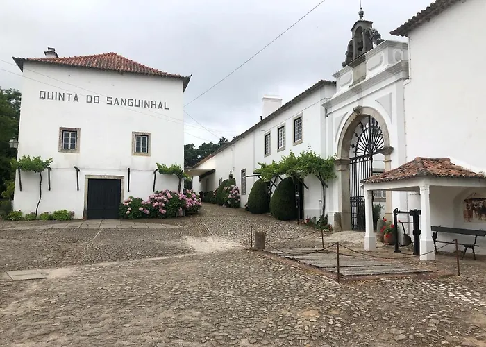 Terra Luso Bed & Breakfast Cadaval
